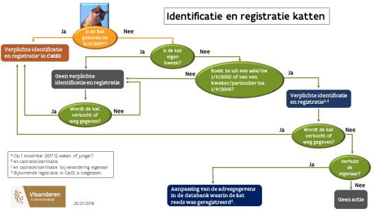 schema identificatie & registratie